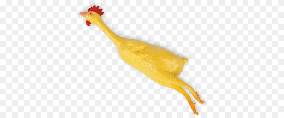 How To Get Pocket Rubber Chickens Set Animal Figure, Bird, Chicken, Fowl, Poultry Free Transparent Png