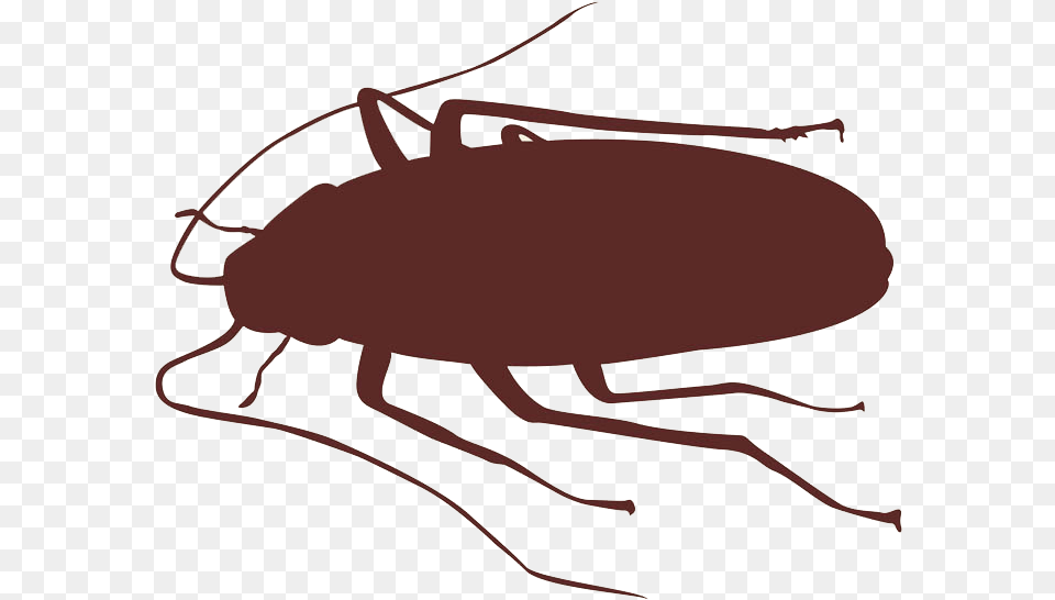 How To Get Rid Of Cockroaches And Other Bugs Bug Buster Cockroach Silhouette, Bow, Weapon, Animal, Insect Png Image
