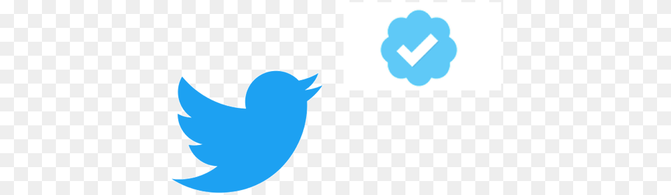 How To Get Your Twitter Account Verified Thumb800 Twitter Gab Ai Vs Twitter, Body Part, Hand, Person, Animal Free Png