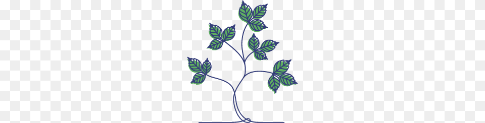 How To Identify And Get Rid Of Poison Ivy, Leaf, Pattern, Plant, Art Free Png