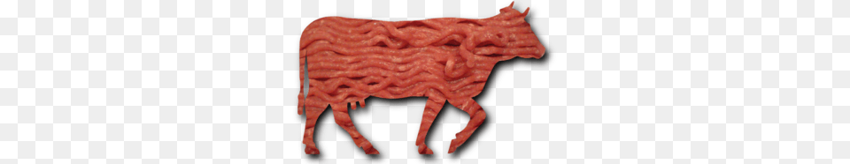 How To Know Your Ground Beef Isnt Pink Slime The Not Big, Food, Meat, Pork, Bacon Png Image