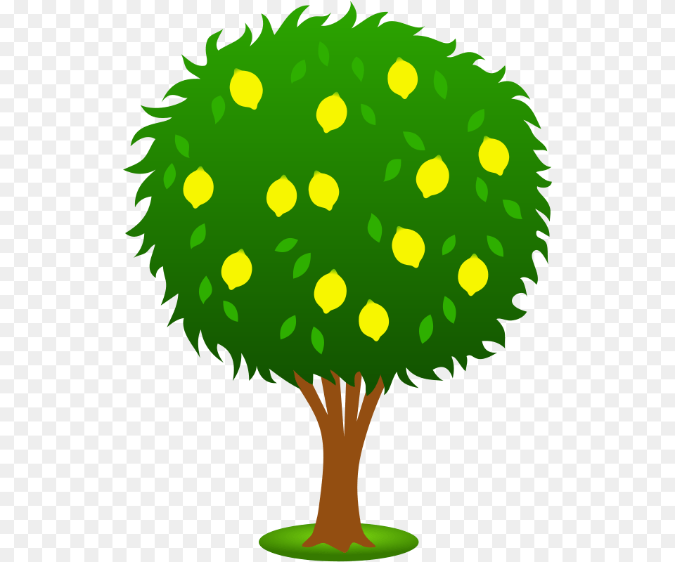 How To Lighten Skin, Green, Plant, Sphere, Tree Png