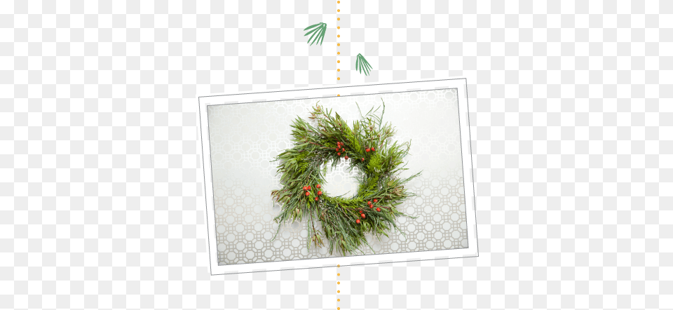 How To Make A Holiday Wreath Using Plants From Your Hanging, Plant Png Image