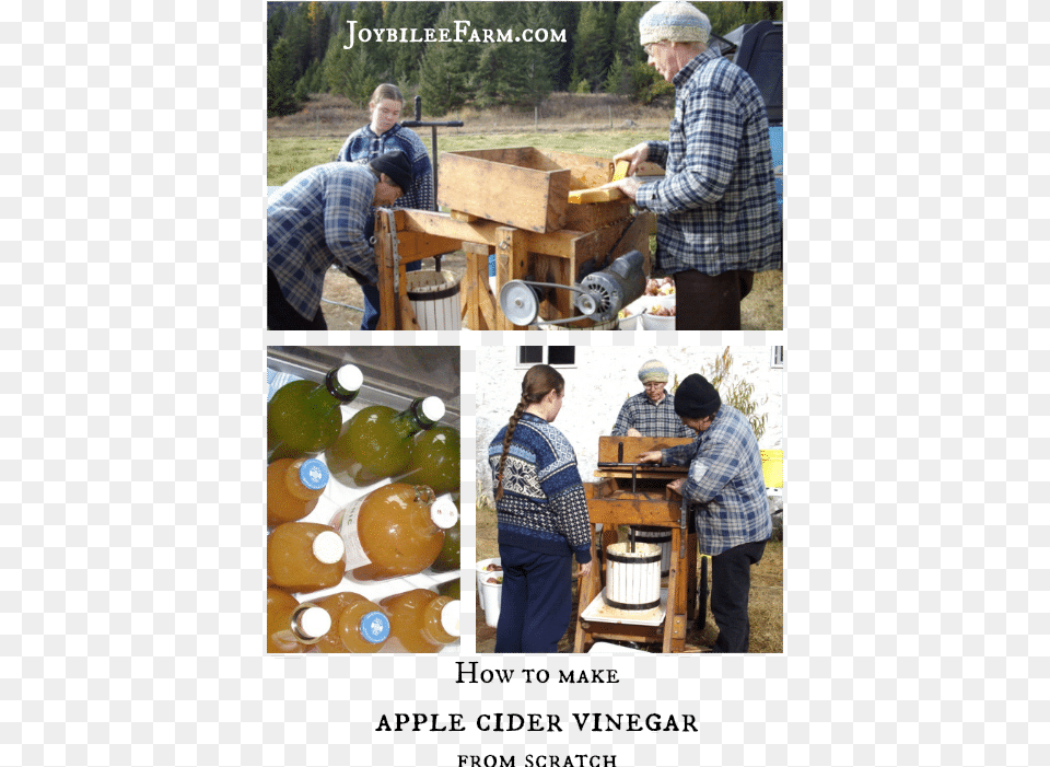 How To Make Apple Cider Vinegar Tree, Adult, Woman, Plywood, Person Free Png Download