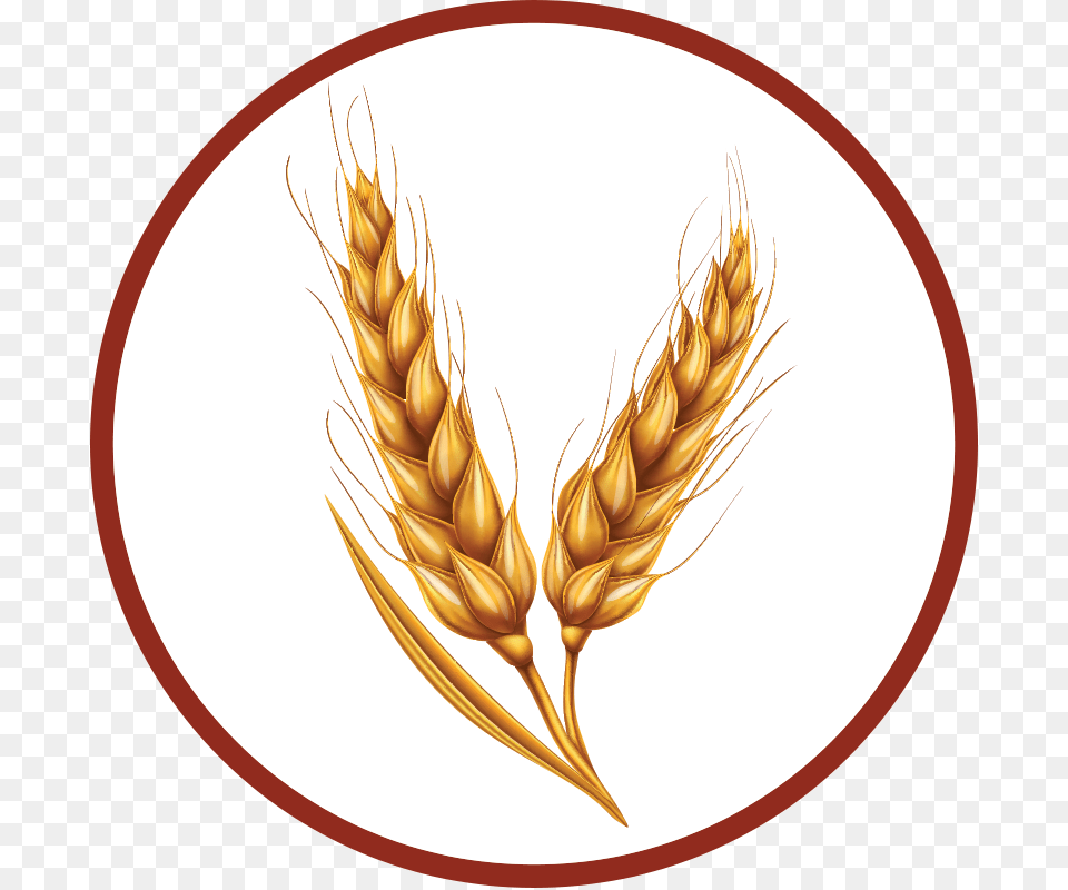 How To Make Bourbon Ingredients Wheat Sheaves Of Wheat, Food, Grain, Produce Free Transparent Png