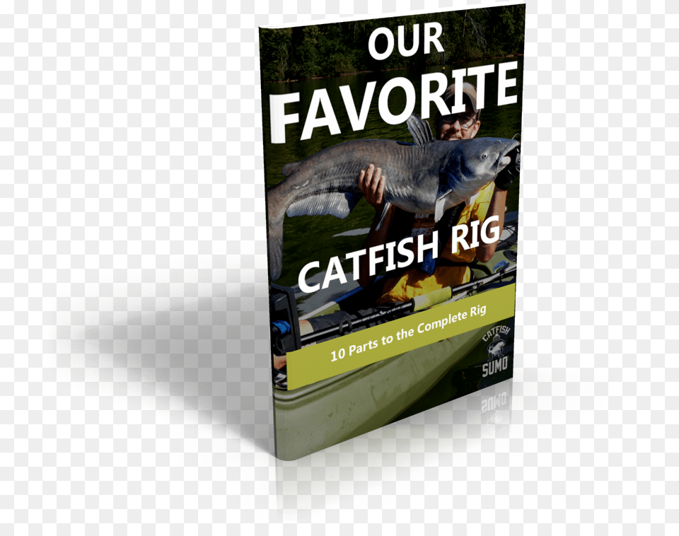 How To Make The Perfect Catfish Rig Rig, Animal, Fish, Sea Life, Adult Free Png