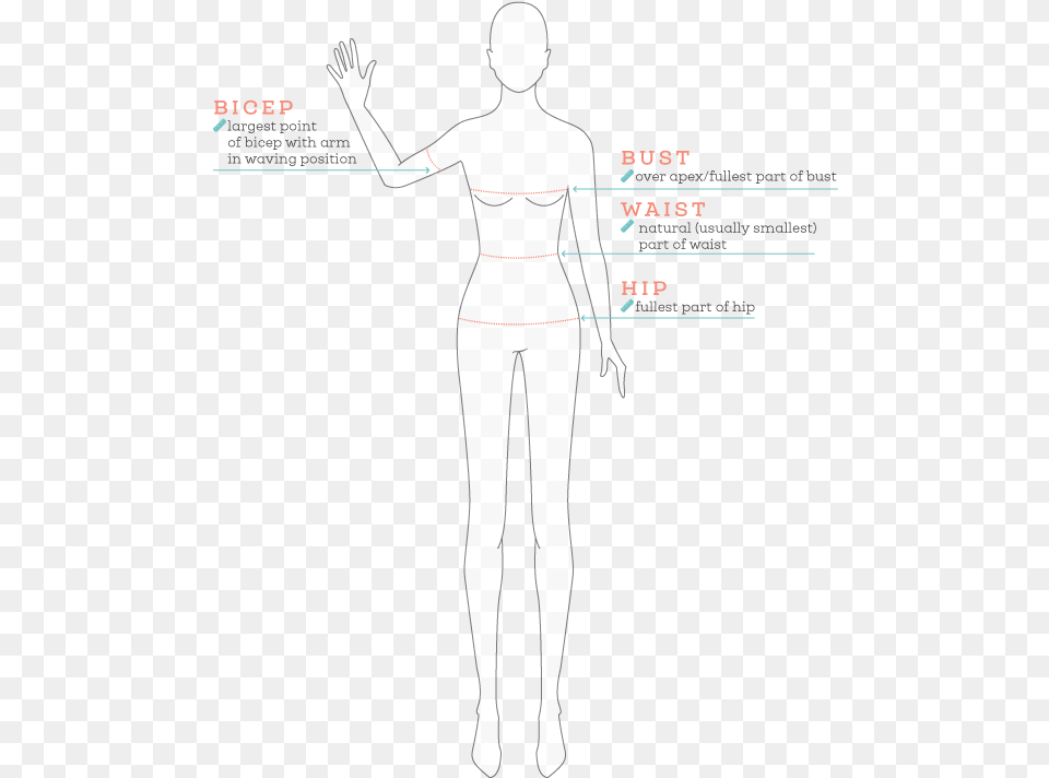 How To Measure Guide Sketch, Chart, Measurements, Plot, Adult Png Image