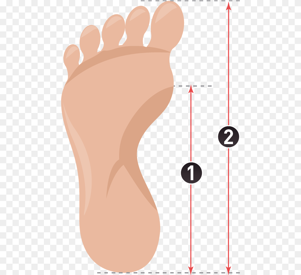 How To Measure Insoles Paris Mtro Line, Person Free Png Download