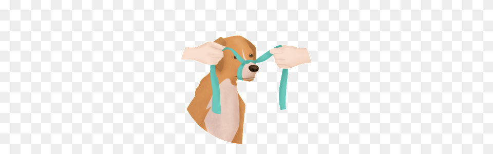 How To Muzzle Your Pet, Glove, Clothing, Mammal, Hound Png Image