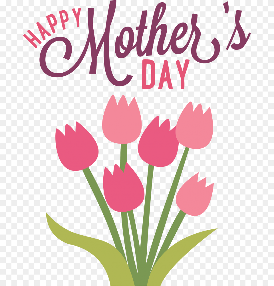 How To Really Make Your Moms Mothers Day The Best Ever The Wire, Flower, Petal, Plant, Envelope Free Png Download