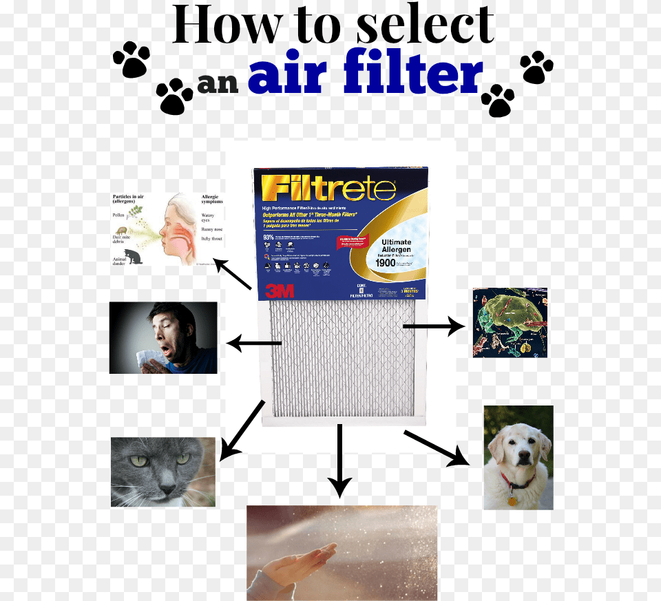 How To Select Air Filter, Advertisement, Poster, Adult, Male Free Png