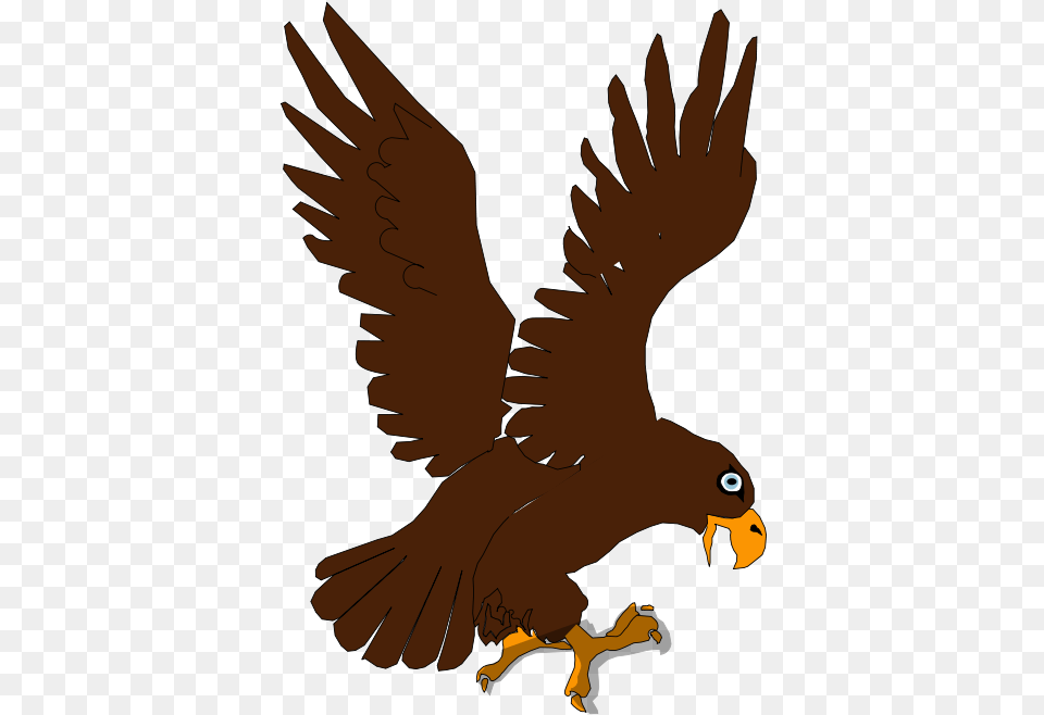 How To Set Use Aguila Clipart, Animal, Beak, Bird, Kite Bird Png Image