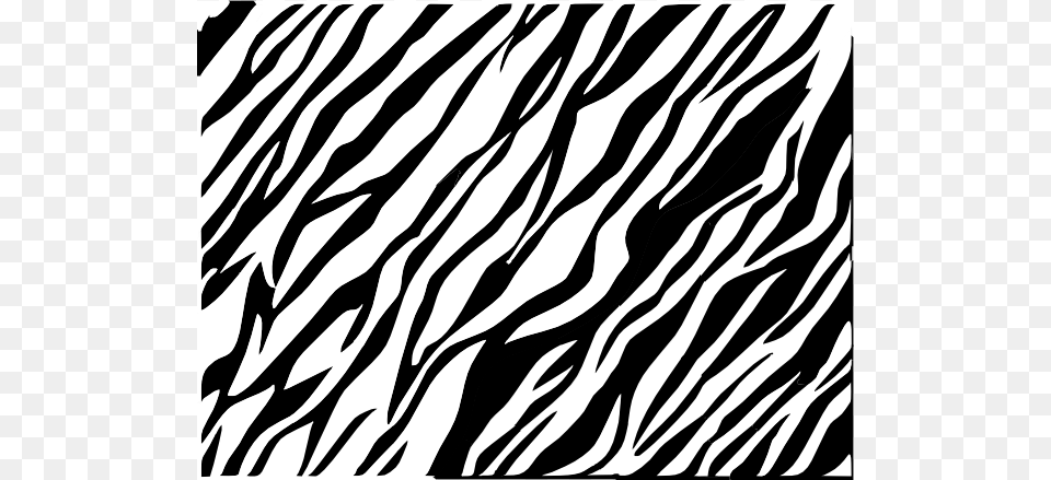 How To Set Use Black And White Zebra Print Background, Pattern, Home Decor, Person Free Png