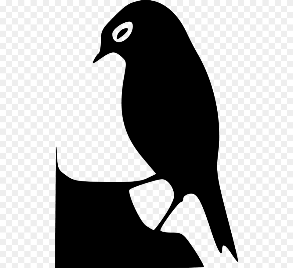 How To Set Use Black Bird Silhouette Svg Vector, Gray Png Image