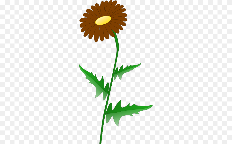 How To Set Use Brown Daisy Svg Vector Daisy Clip Art, Flower, Plant, Leaf, Animal Png