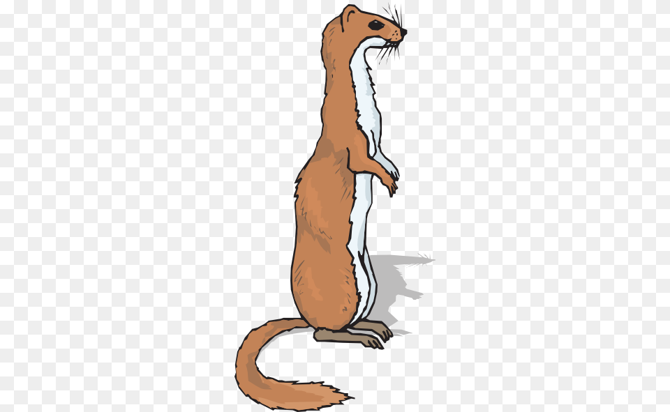 How To Set Use Brown Standing Ferret Svg Vector, Animal, Mammal, Wildlife, Kangaroo Png