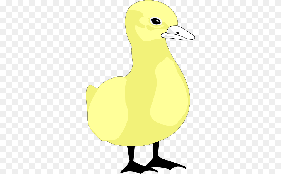 How To Set Use Cartoon Duck Svg Vector, Animal, Bird, Beak, Fish Free Png