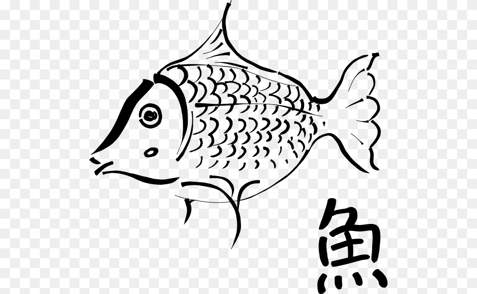 How To Set Use Fish Outline Clipart Outline Of A Fish, Stencil, Animal, Sea Life, Shark Free Png Download