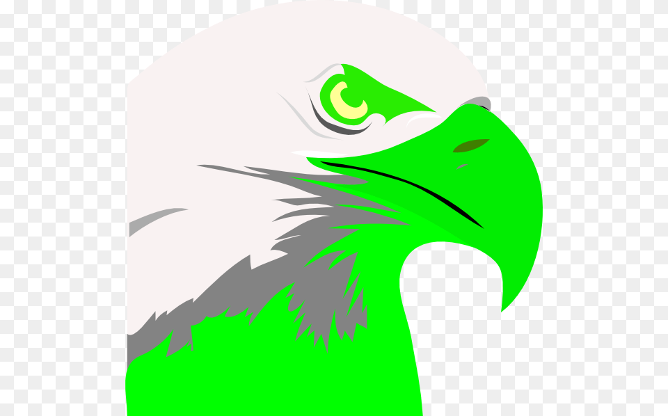 How To Set Use Florescent Green Eagle Clipart, Animal, Beak, Bird, Fish Png