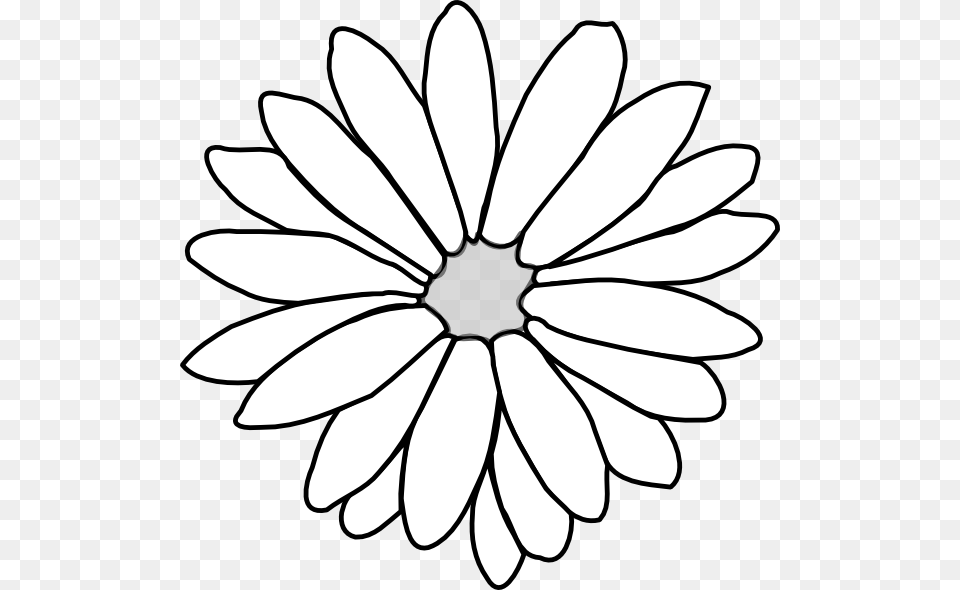How To Set Use Flower Outline Clipart, Daisy, Plant Png