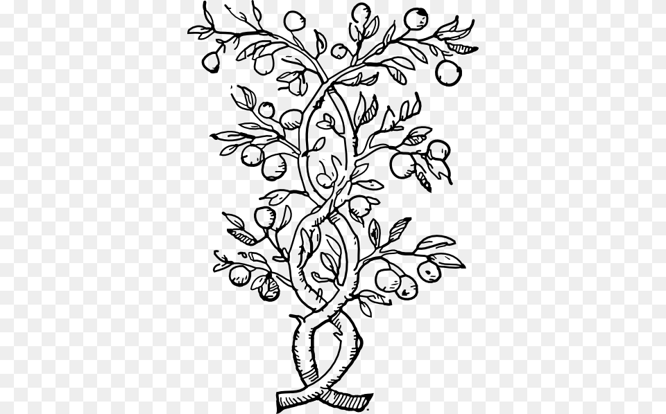 How To Set Use Fruit Tree Branches Svg Vector, Art, Pattern, Floral Design, Graphics Png Image
