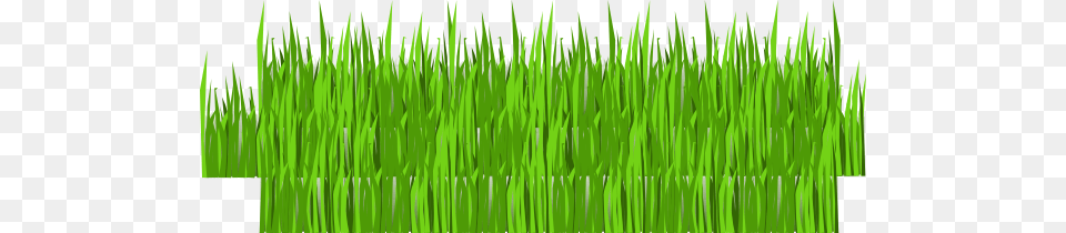 How To Set Use Grass Cook Out Layers Svg Vector, Green, Lawn, Plant, Vegetation Free Transparent Png