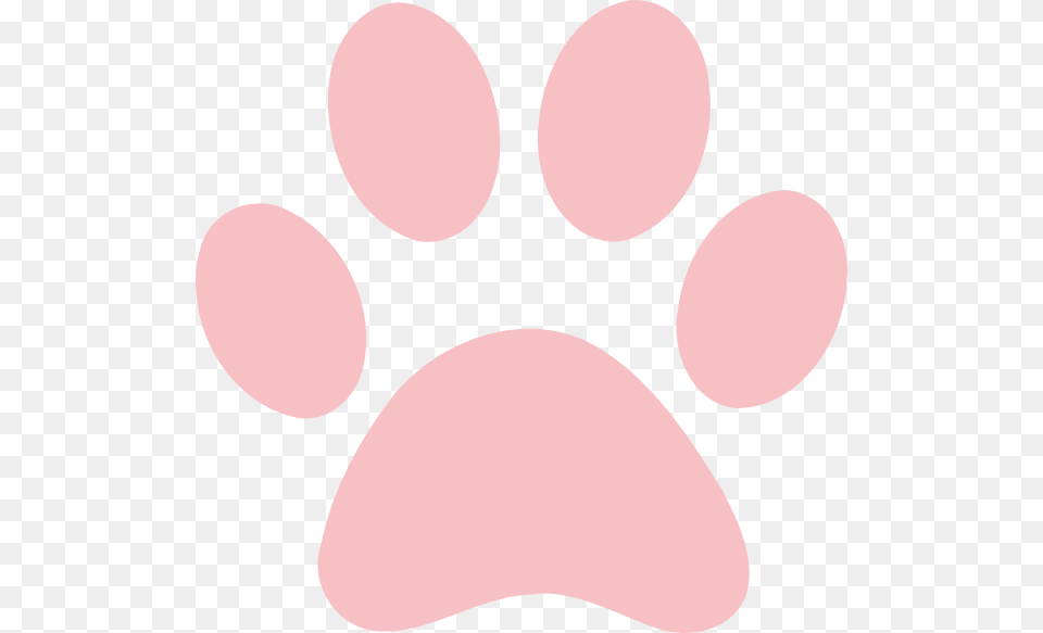 How To Set Use Gray Paw Print Icon, Face, Head, Person, Body Part Png