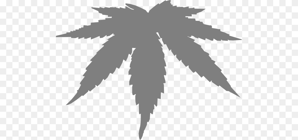 How To Set Use Grey Marijuana Leaf Icon Marijuana Vector, Plant, Silhouette, Person, Animal Free Transparent Png