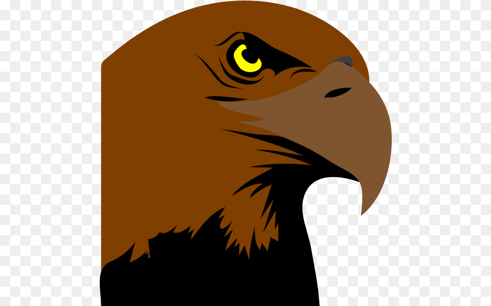 How To Set Use Hawk Head Logo Clipart, Animal, Beak, Bird, Eagle Free Transparent Png
