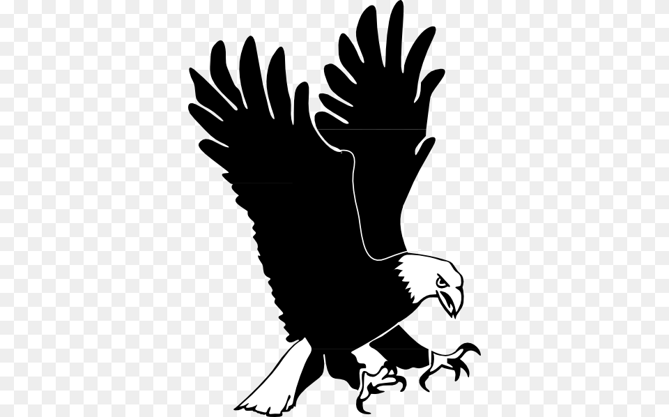 How To Set Use Hunting Eagle Svg Vector, Animal, Vulture, Bird, Stencil Png