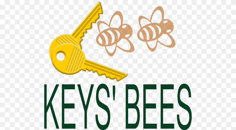 How To Set Use Keys Bees Icon, Key, Bulldozer, Machine, Dynamite Free Transparent Png