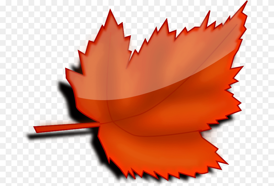 How To Set Use Leaf 5 Icon Autumn Leaf Clipart, Plant, Tree, Maple Leaf, Maple Png