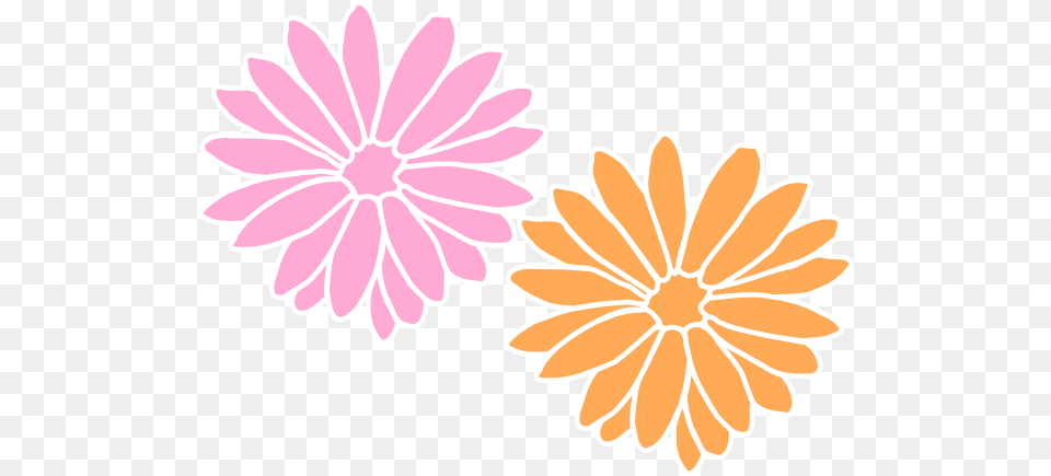 How To Set Use Light Orange And Pink Flowers Clipart, Art, Daisy, Floral Design, Flower Free Png Download