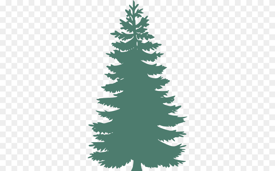 How To Set Use Lightgreen Pine Tree Clipart, Fir, Plant, Conifer, Person Free Png