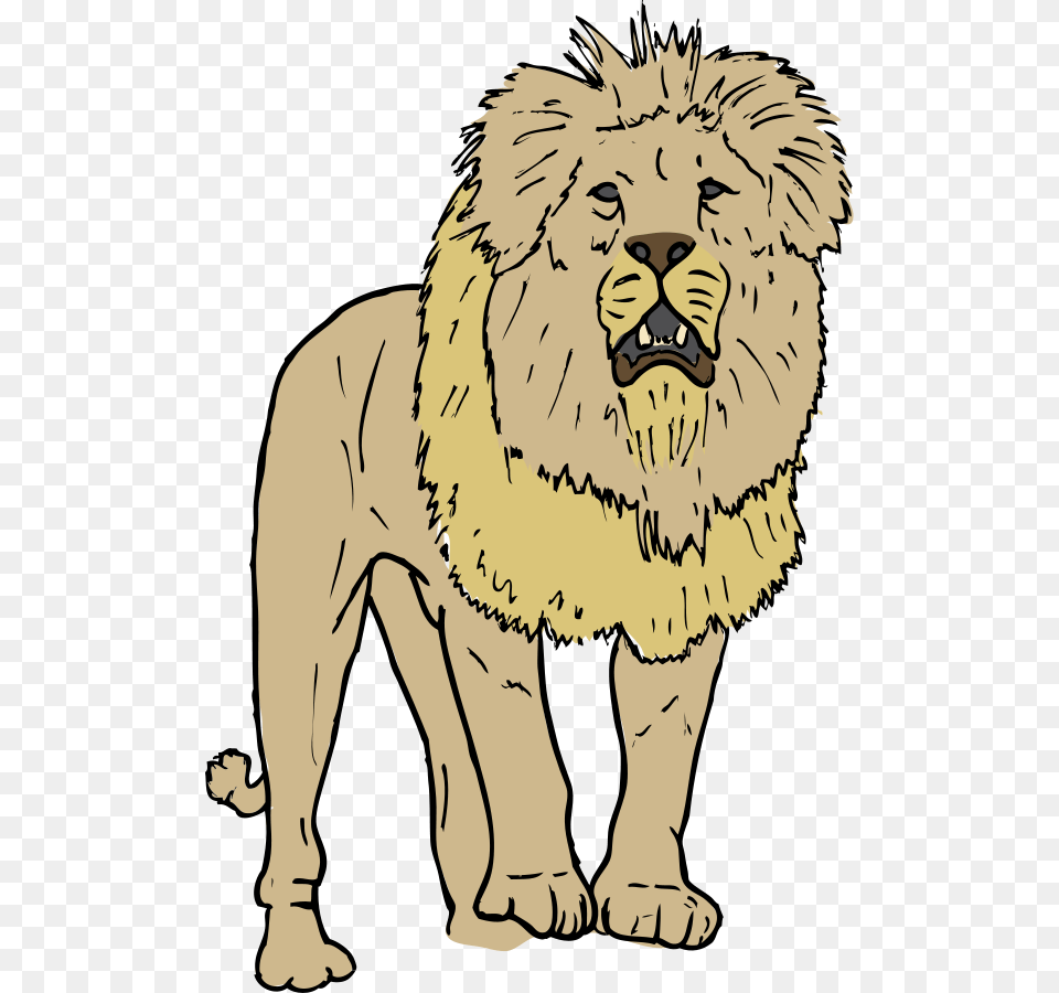 How To Set Use Lion Clipart, Wildlife, Animal, Mammal, Person Free Transparent Png