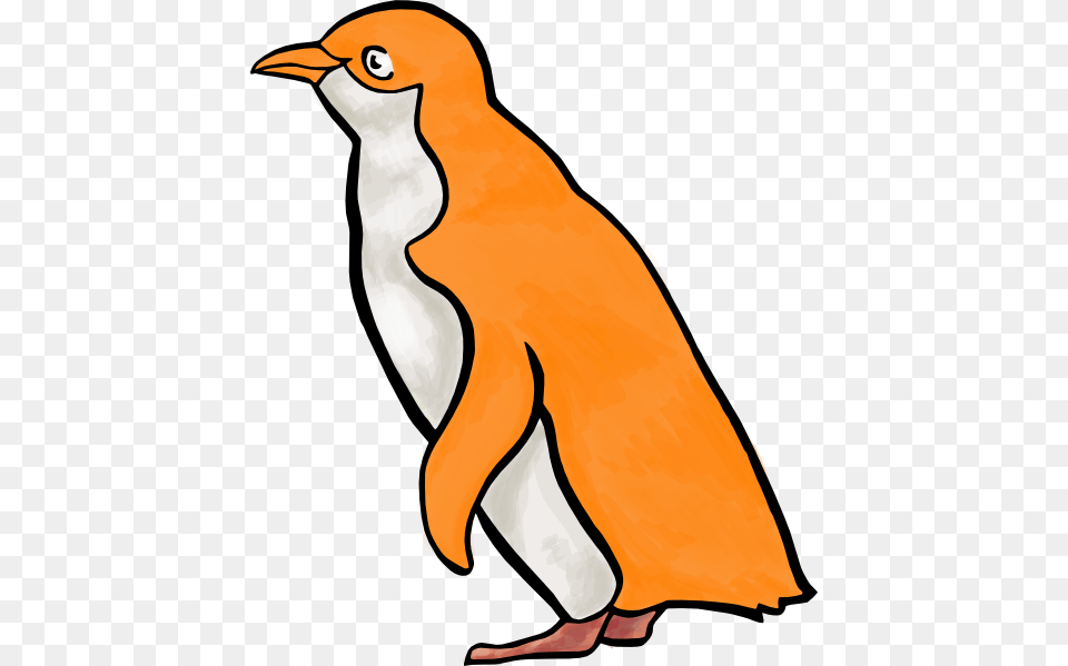 How To Set Use Orange Penguin Svg Vector, Animal, Bird Free Png