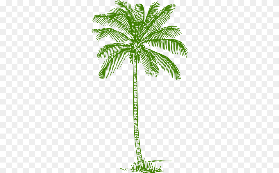 How To Set Use Palm Tree Clipart Pencil Drawing Coconut Tree, Palm Tree, Plant, Leaf Png Image