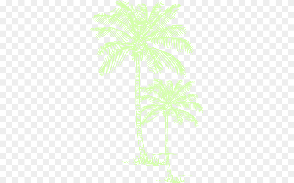 How To Set Use Palm Tree Clipart Tropisches Ombre Sonnenuntergang Der Duschvorhang, Palm Tree, Plant, Vegetation, Leaf Png Image