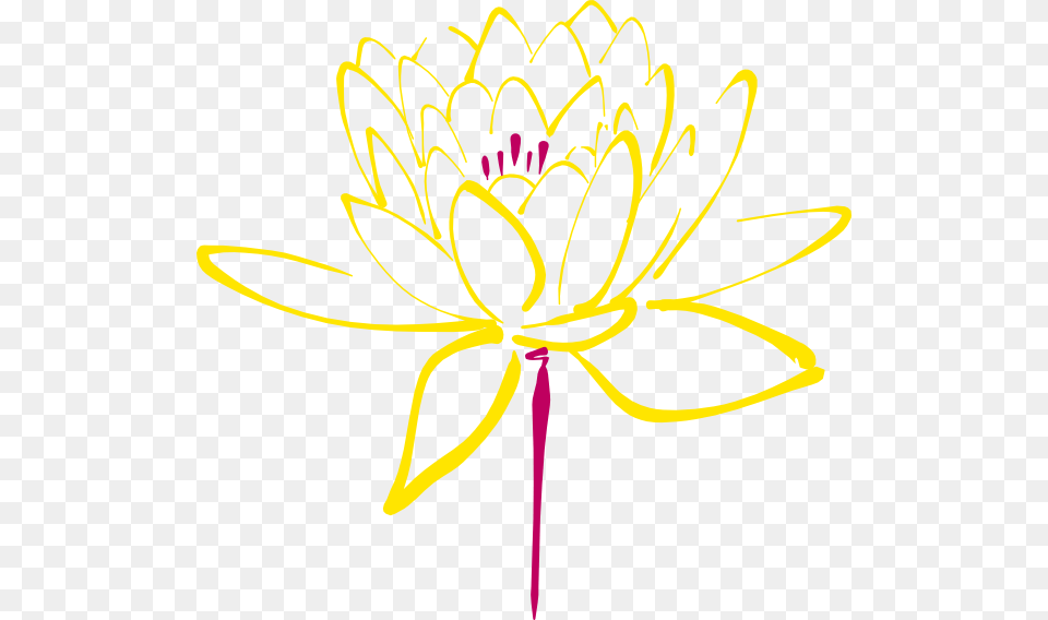 How To Set Use Pink Yellow Lotus Clipart, Anther, Dahlia, Flower, Plant Free Png Download