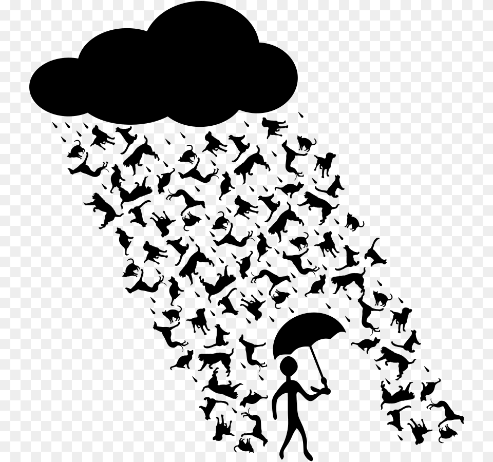 How To Set Use Raining Cats And Dogs Clipart, Gray Free Png