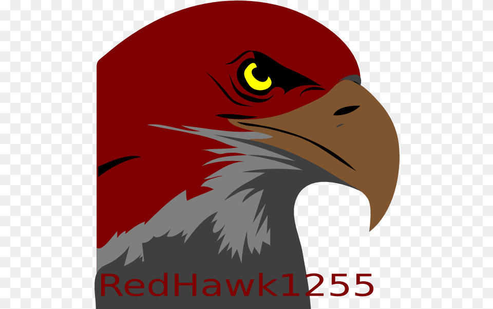 How To Set Use Redhawk1255 Gaming Logo Icon Bald Eagle Bald Eagle Clipart, Animal, Beak, Bird, Person Free Png