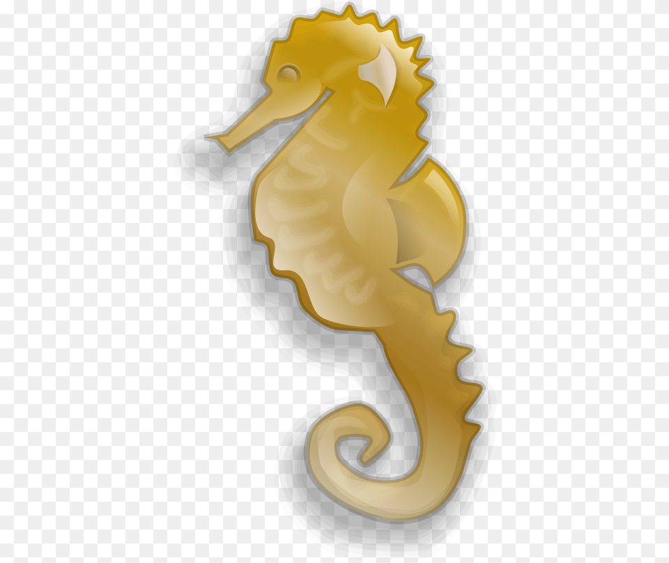 How To Set Use Seahorse Clipart, Animal, Mammal, Sea Life, Baby Free Png