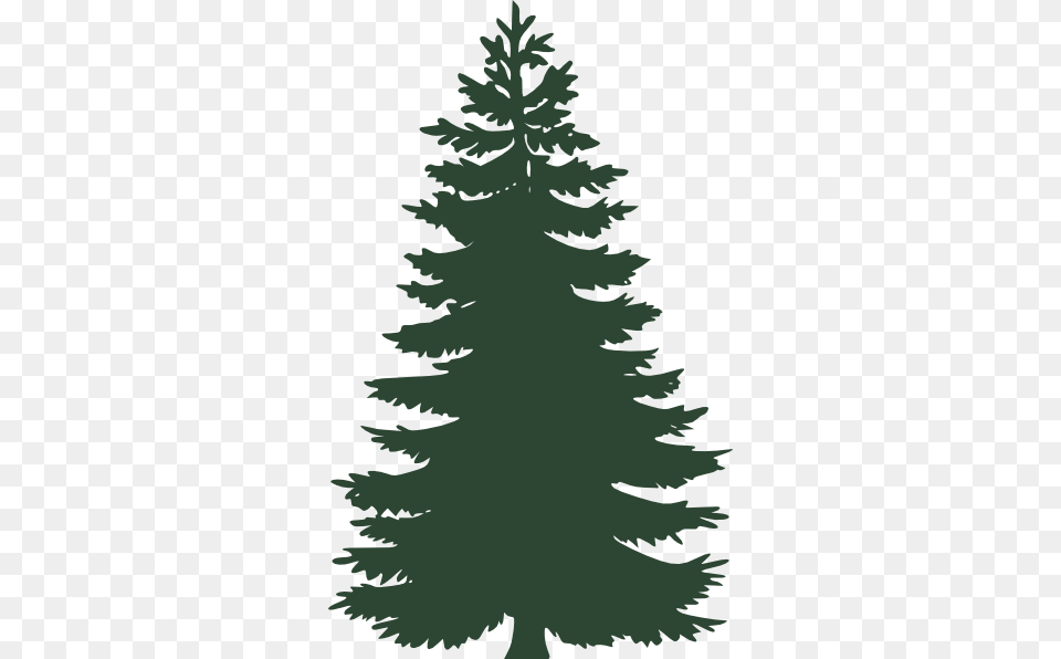 How To Set Use Small Pine Tree Clipart, Fir, Plant, Conifer, Person Free Png