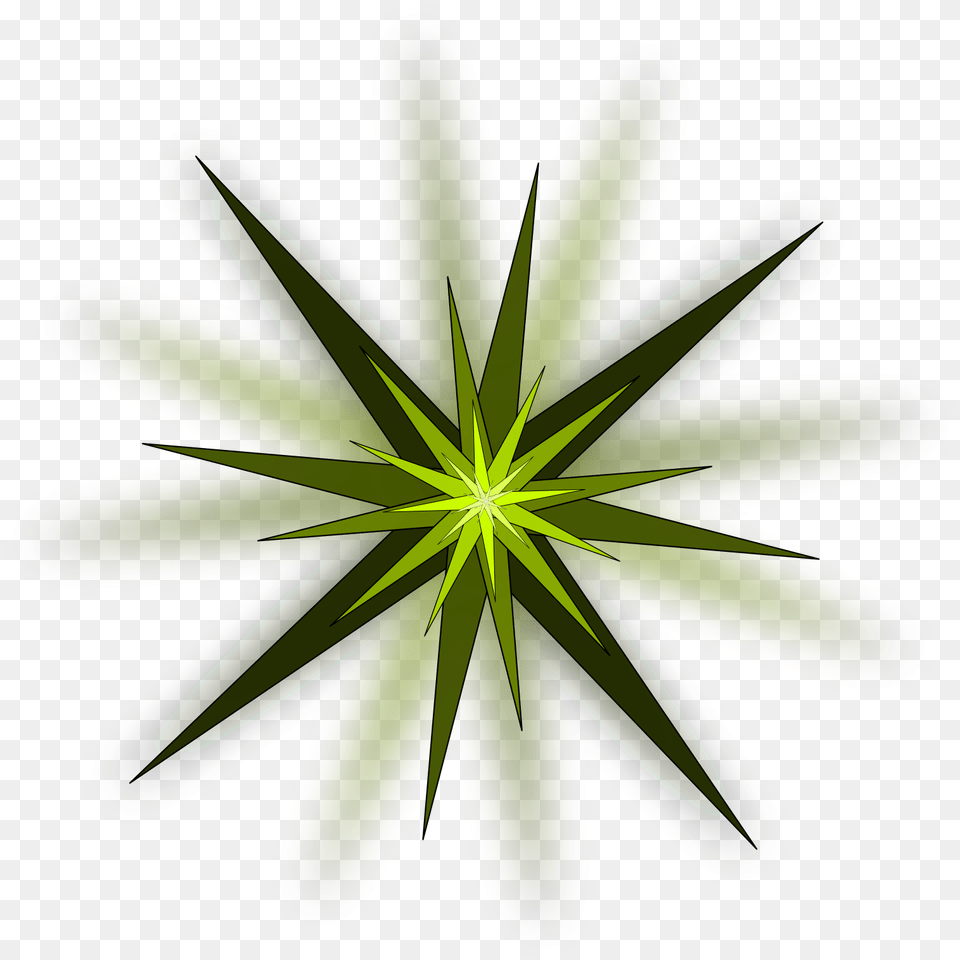 How To Set Use Star Burst Clipart, Green, Leaf, Light, Pattern Free Png