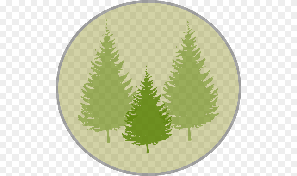 How To Set Use Three Pine Trees Clipart, Plant, Leaf, Green, Home Decor Free Png
