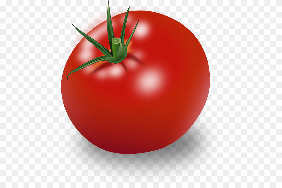 How To Set Use Tomatoes Clipart, Food, Plant, Produce, Tomato Png Image