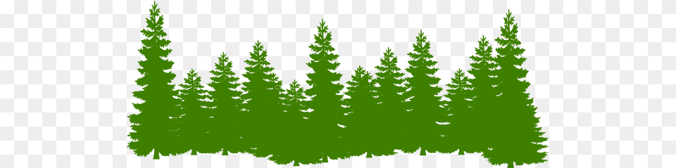 How To Set Use Trees Clipart Pine Trees Forest Landscape Nature Vinyl Sticker Decal, Fir, Plant, Tree, Conifer Free Transparent Png