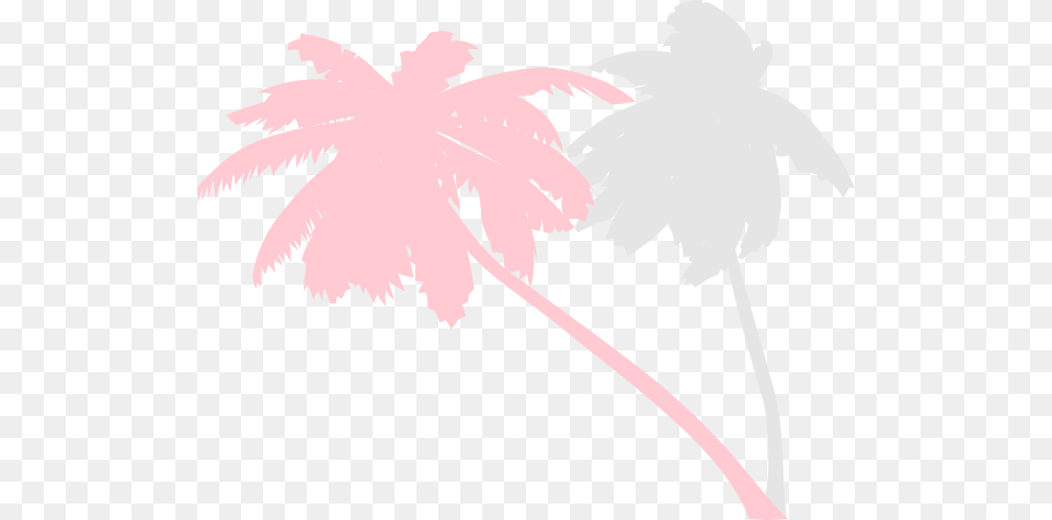 How To Set Use Vector Palm Trees Clipart, Palm Tree, Plant, Tree, Leaf Free Transparent Png