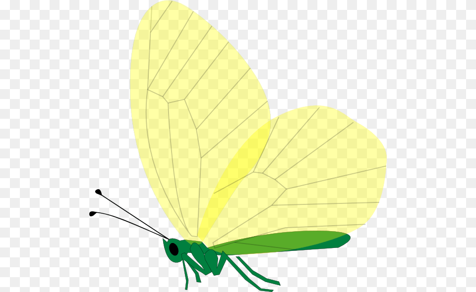 How To Set Use Yellow Butterfly Clipart, Animal, Ammunition, Grenade, Weapon Free Png