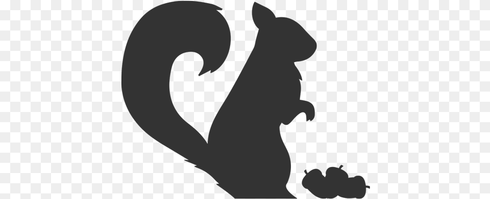 How To Take Care Of A Baby Squirrel Silhouette Of Woodland Animals, Animal, Bear, Mammal, Wildlife Free Transparent Png